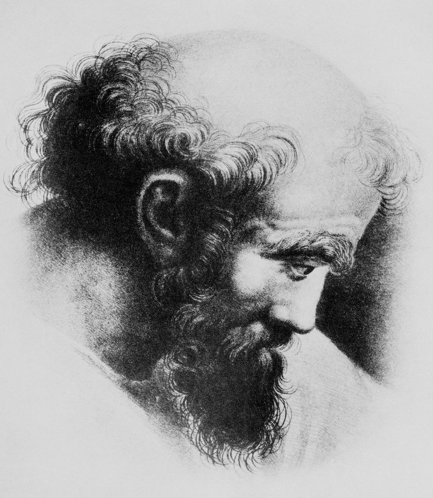 Detail of Portrait of Pythagoras by Anonymous
