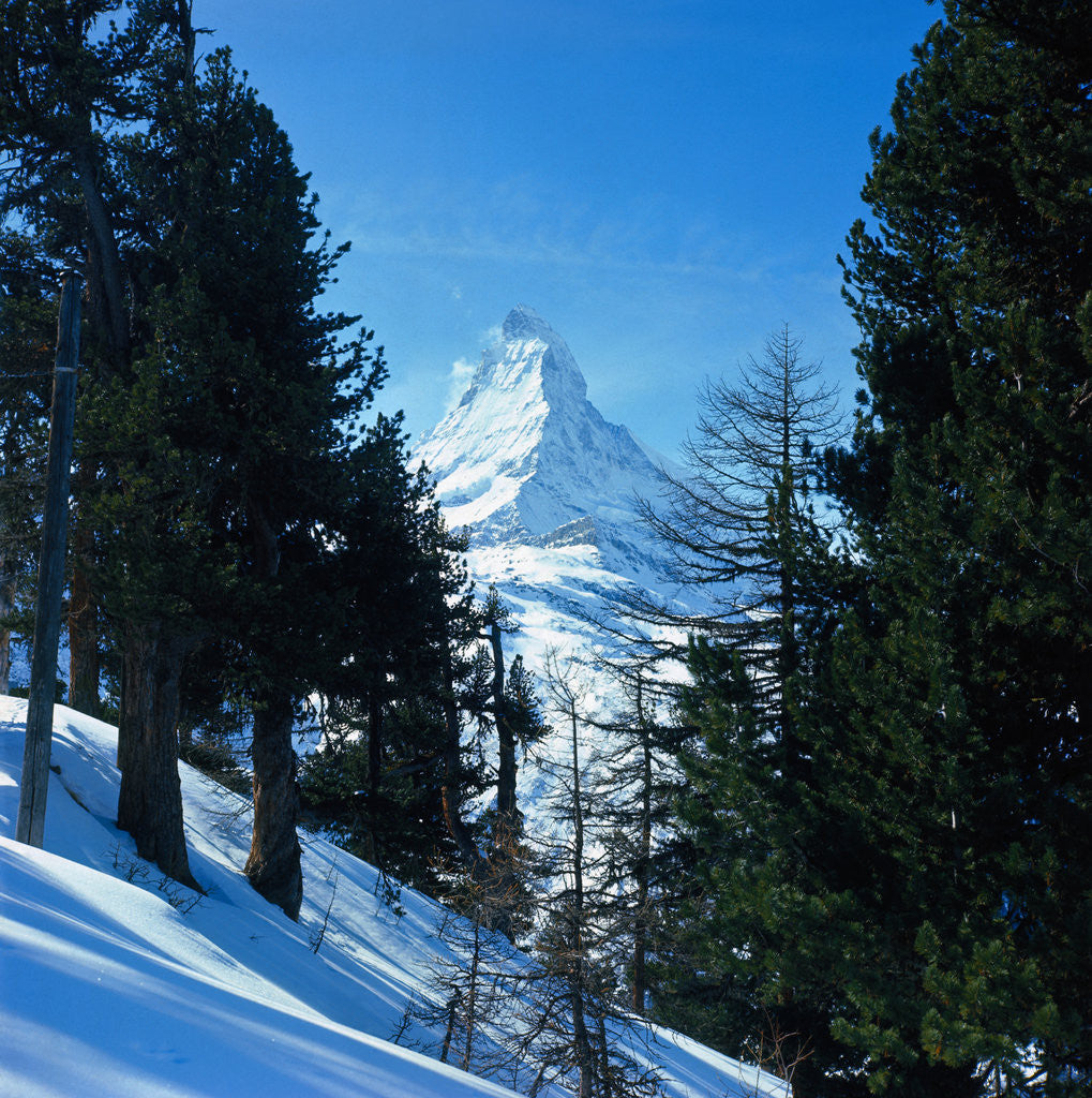 Detail of Matterhorn by Anonymous