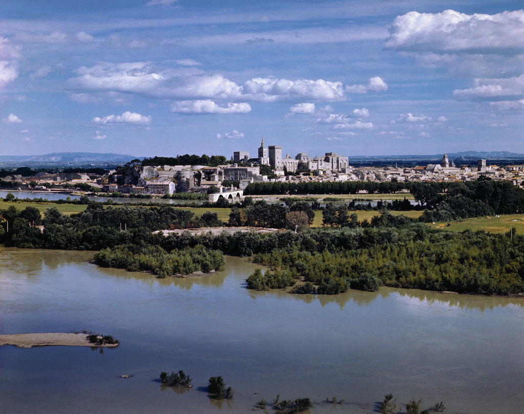 Detail of View of Avignon by Anonymous