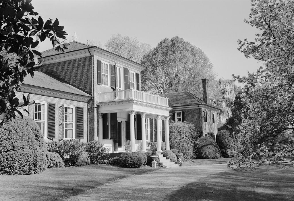 Detail of Brandon Plantation by Anonymous