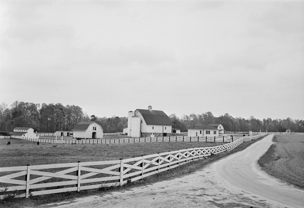 Detail of Swann's Point Plantation by Anonymous