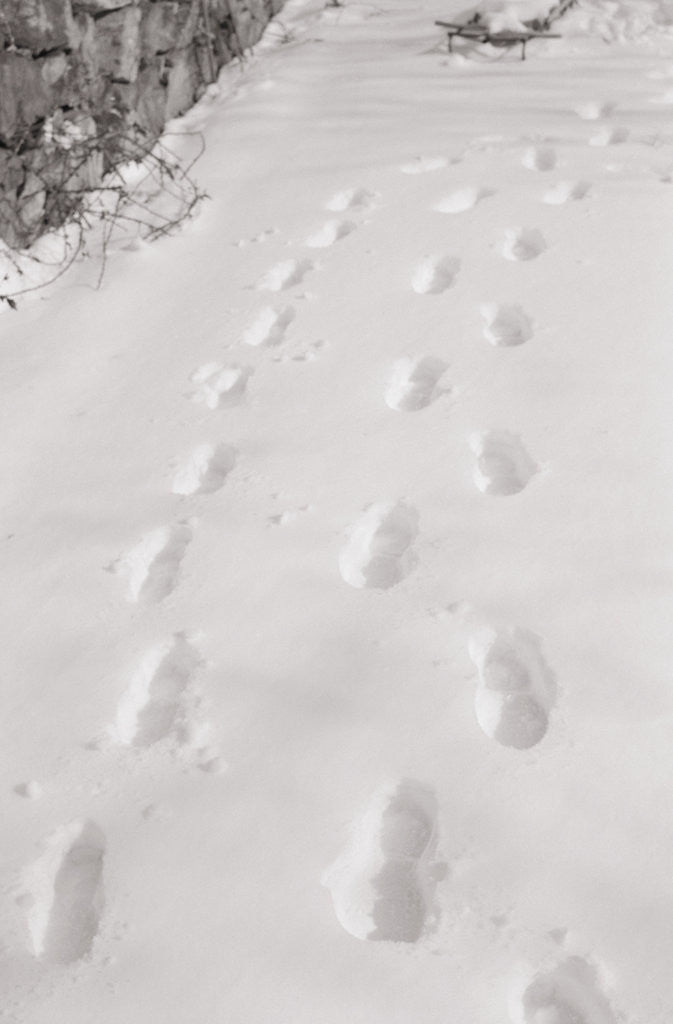 Detail of Footprints in the Snow by Anonymous