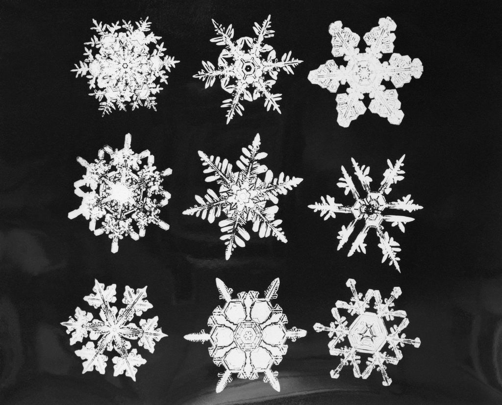 Detail of Assorted Snowflake Patterns by Anonymous