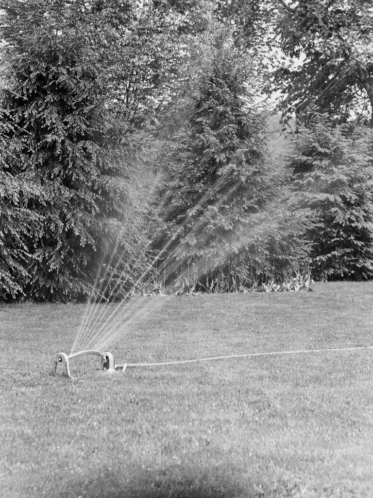 Detail of Lawn Sprinkler on Lawn by Anonymous