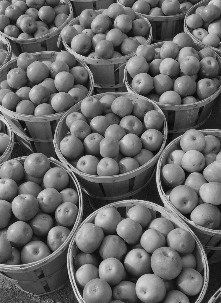 Detail of Baskets of Apples by Anonymous