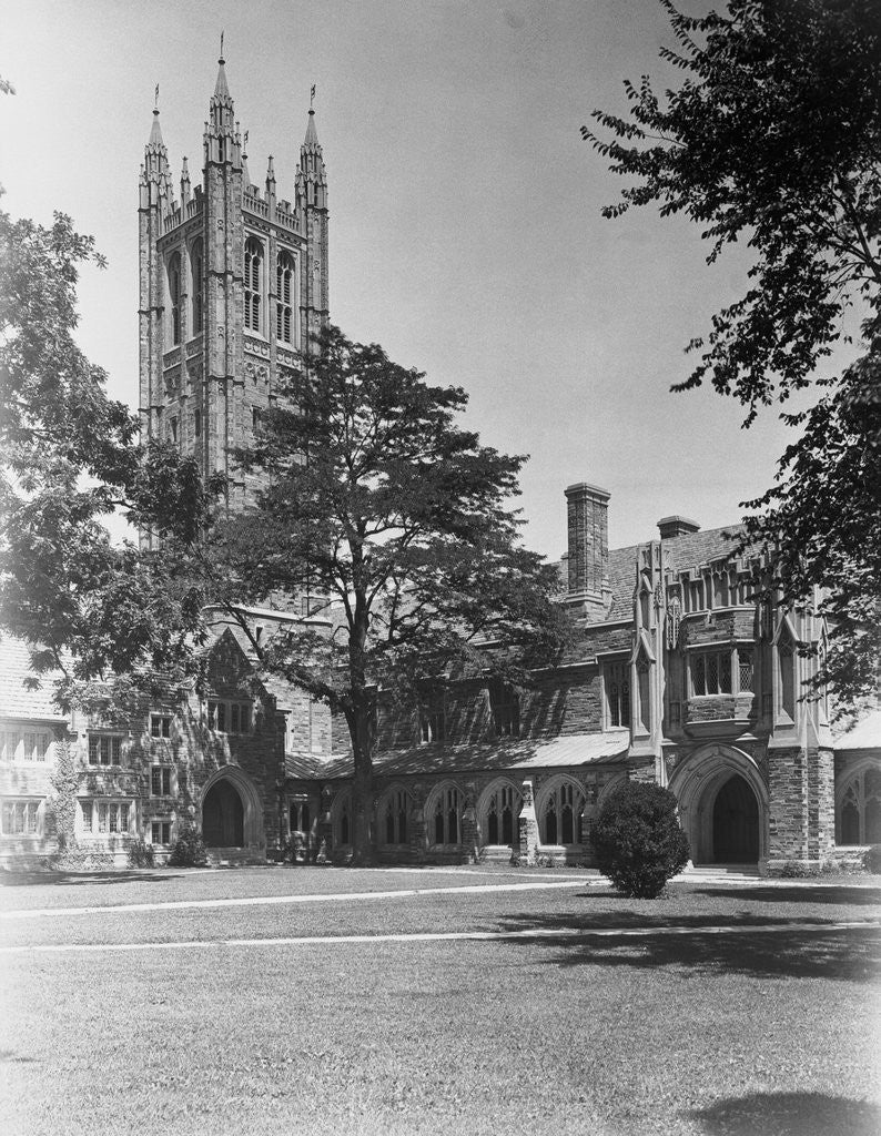 Detail of View of Princeton University, Madison Hall by Anonymous