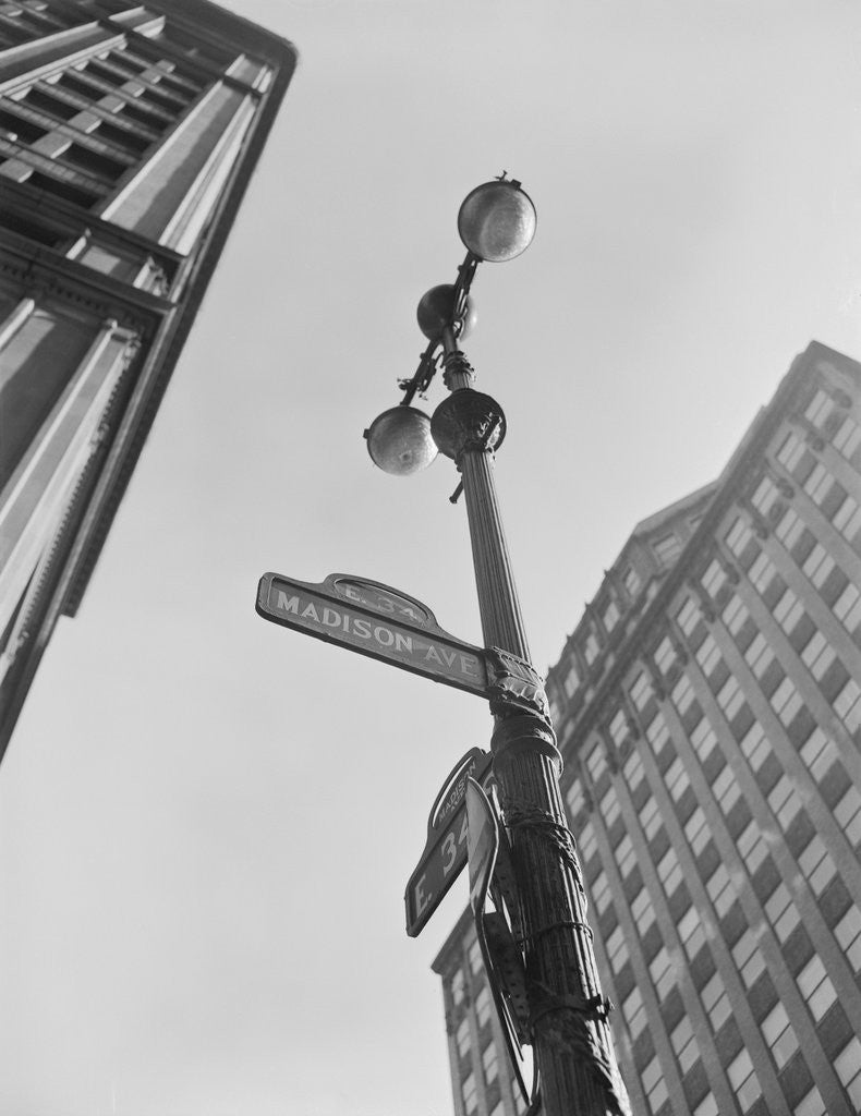 Detail of View of Madison Avenue in New York City by Anonymous