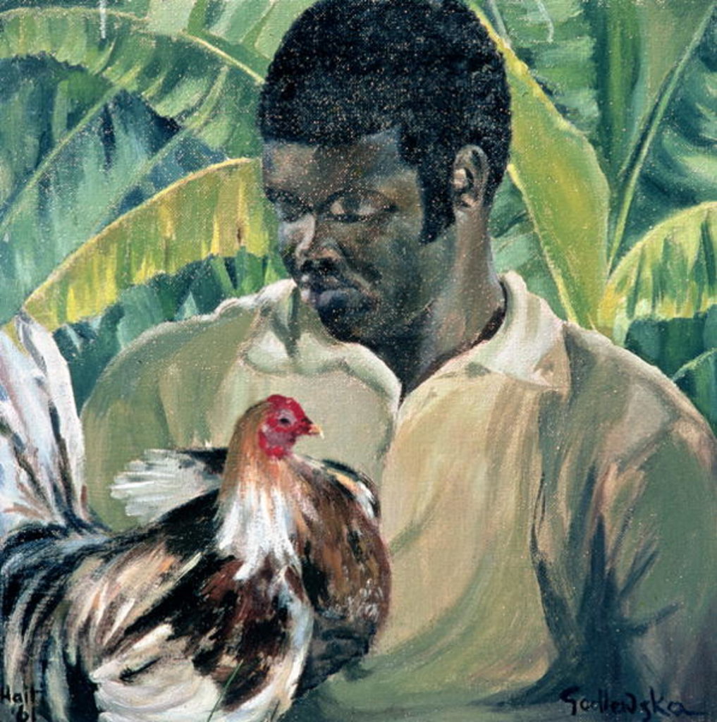 Detail of Abel with Fighting Cock, 1961 by Izabella Godlewska de Aranda