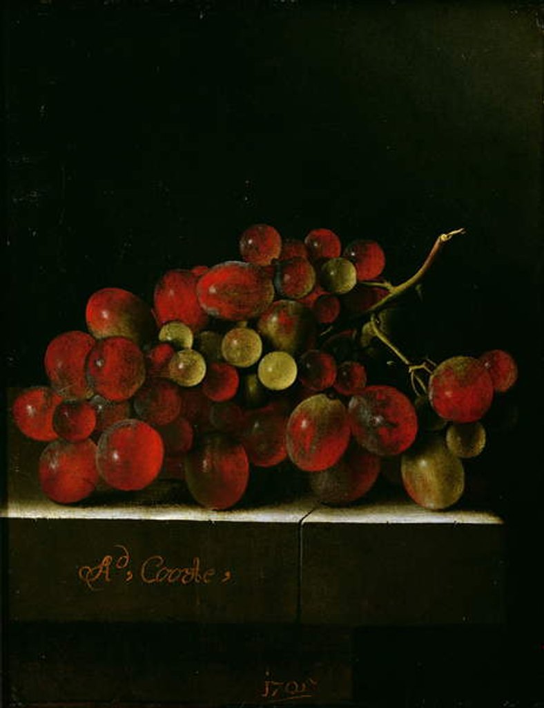 Detail of Bunch of Grapes, 1705 by Adrian Coorte