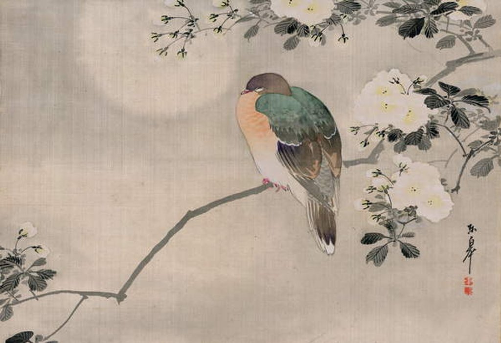 Detail of Japanese Silk Painting of a Wood Pigeon, 1800-1899 by Japanese School