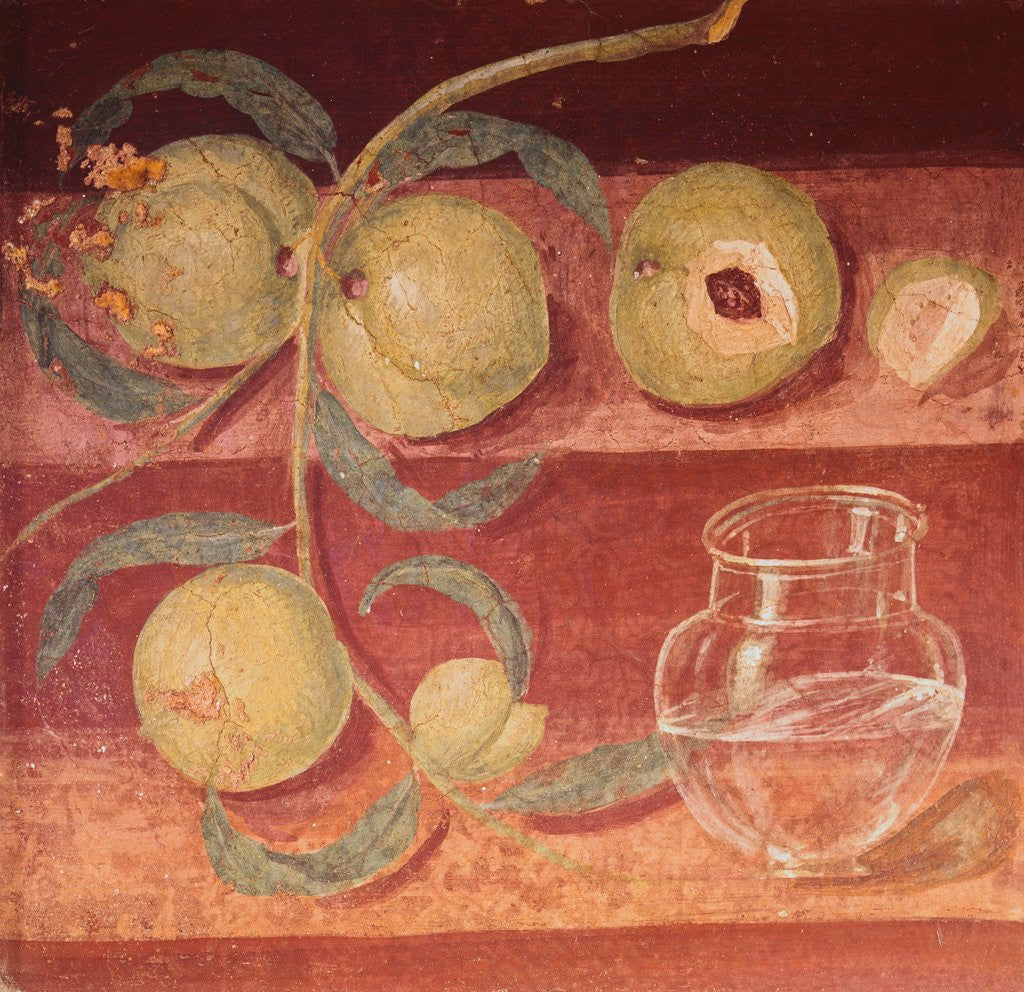 Detail of Fresco of Water Pot and Fruit in Pompeii Kitchen by Corbis