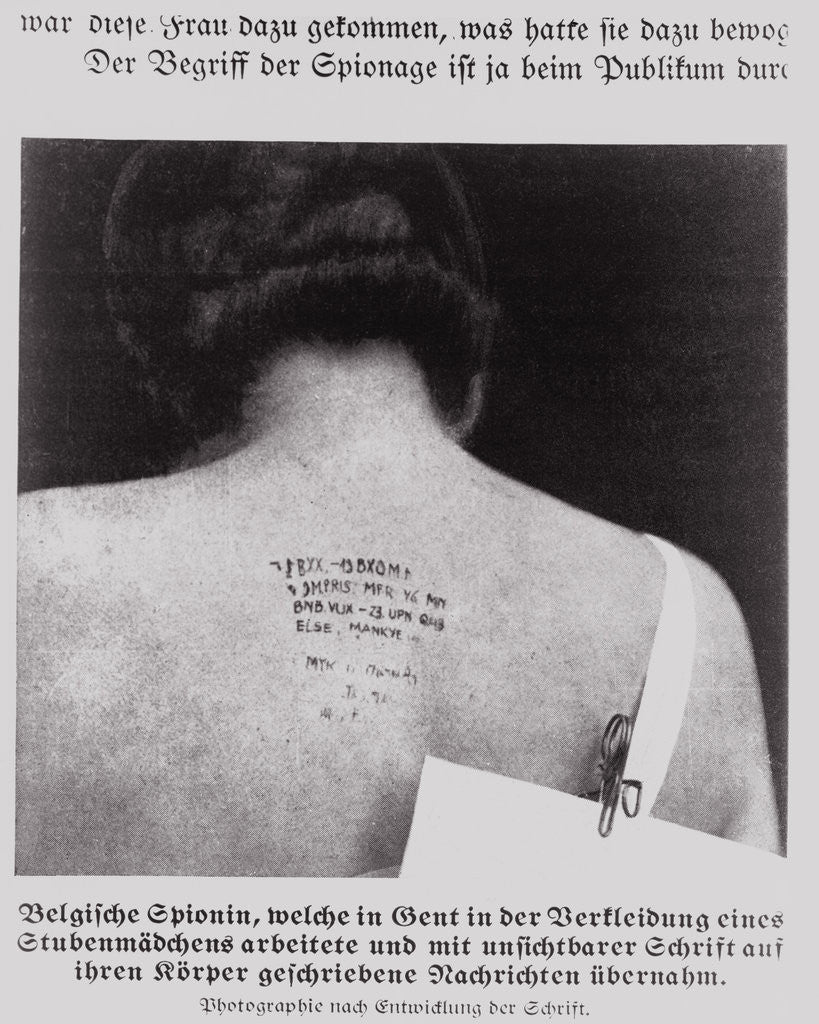 Detail of Ink Scrolled Back of a Belgian Female Spy by Anonymous
