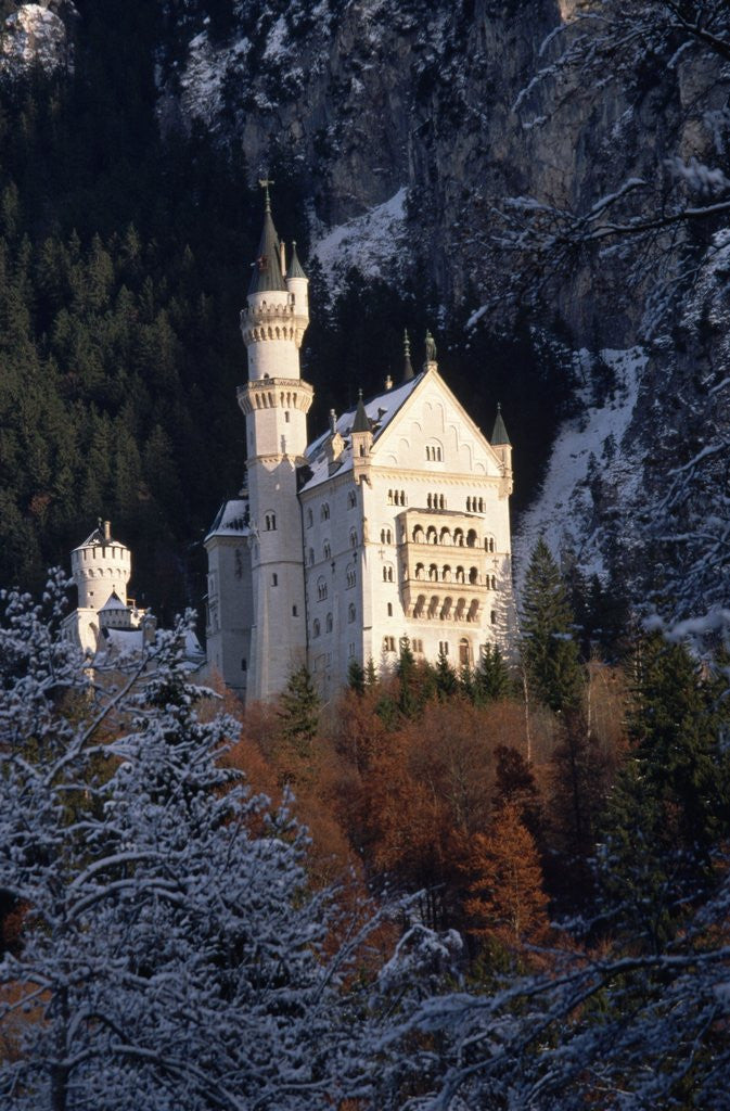 Detail of Neuschwanstein Castle, Bavaria by Anonymous