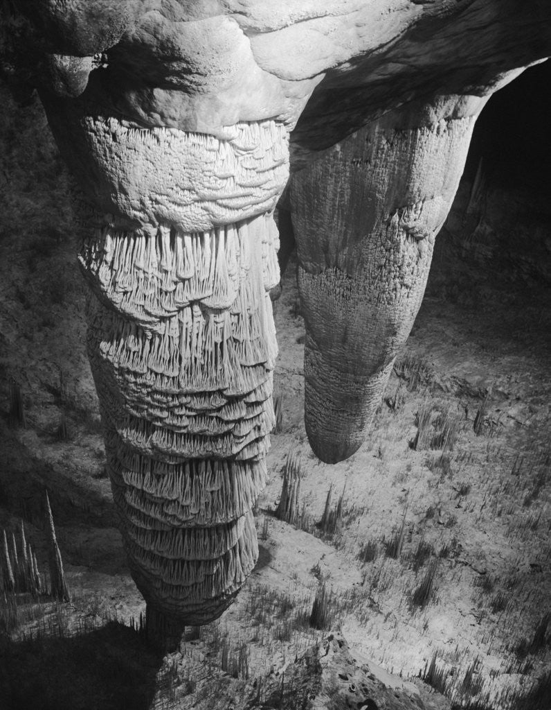 Detail of Stalactites and Stalagmites in Carlsbad Caverns by Anonymous