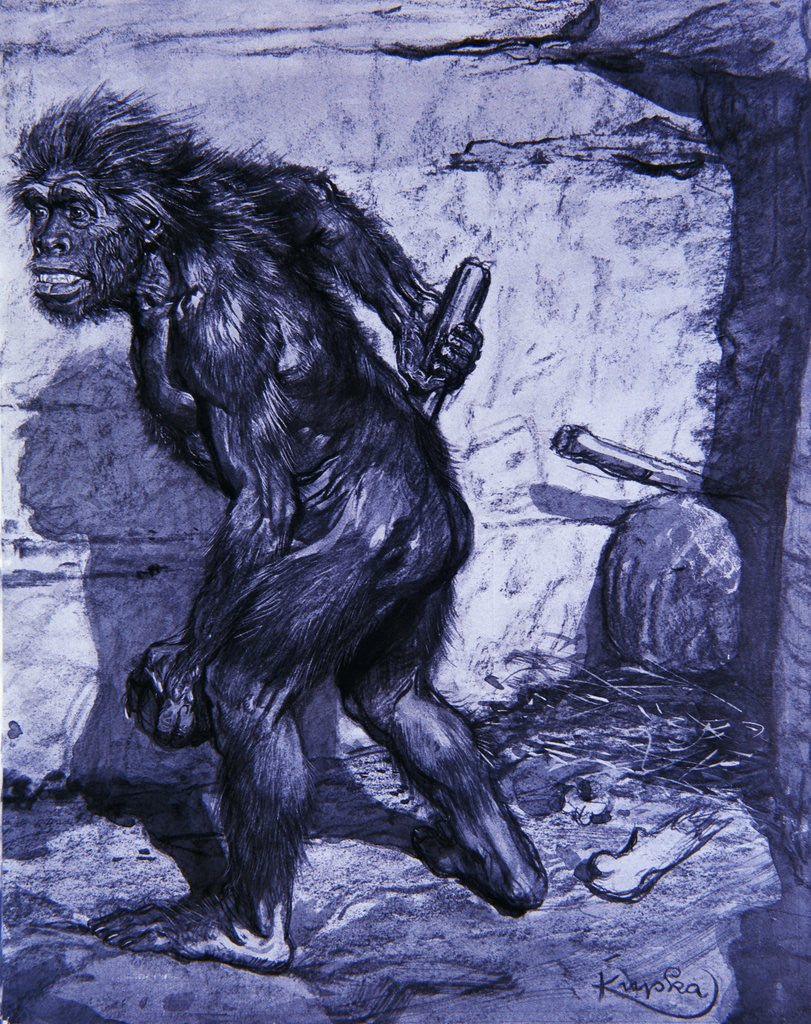 Detail of Neanderthal man by Anonymous