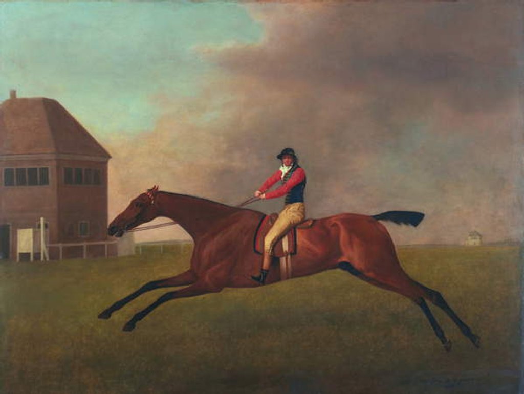 Detail of Baronet with Sam Chifney Up, 1791 by George Stubbs