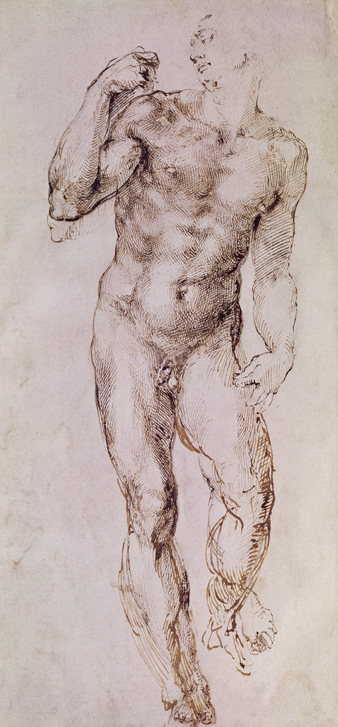 Detail of Sketch of David with his Sling by Michelangelo Buonarroti