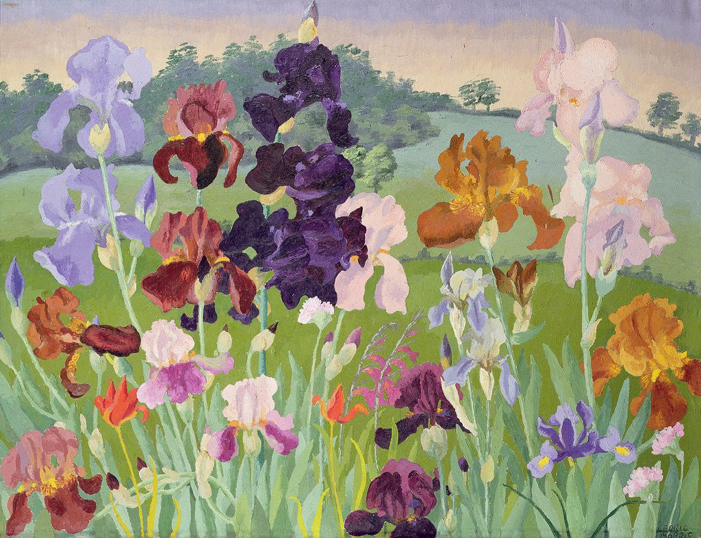 Detail of Several Inventions by Sir Cedric Morris