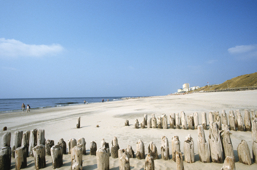 Detail of Sylt Beach by Anonymous