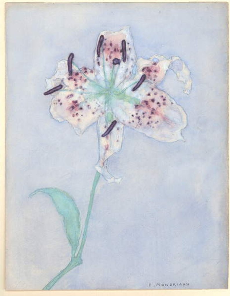 Detail of Lily, after 1921 by Piet Mondrian