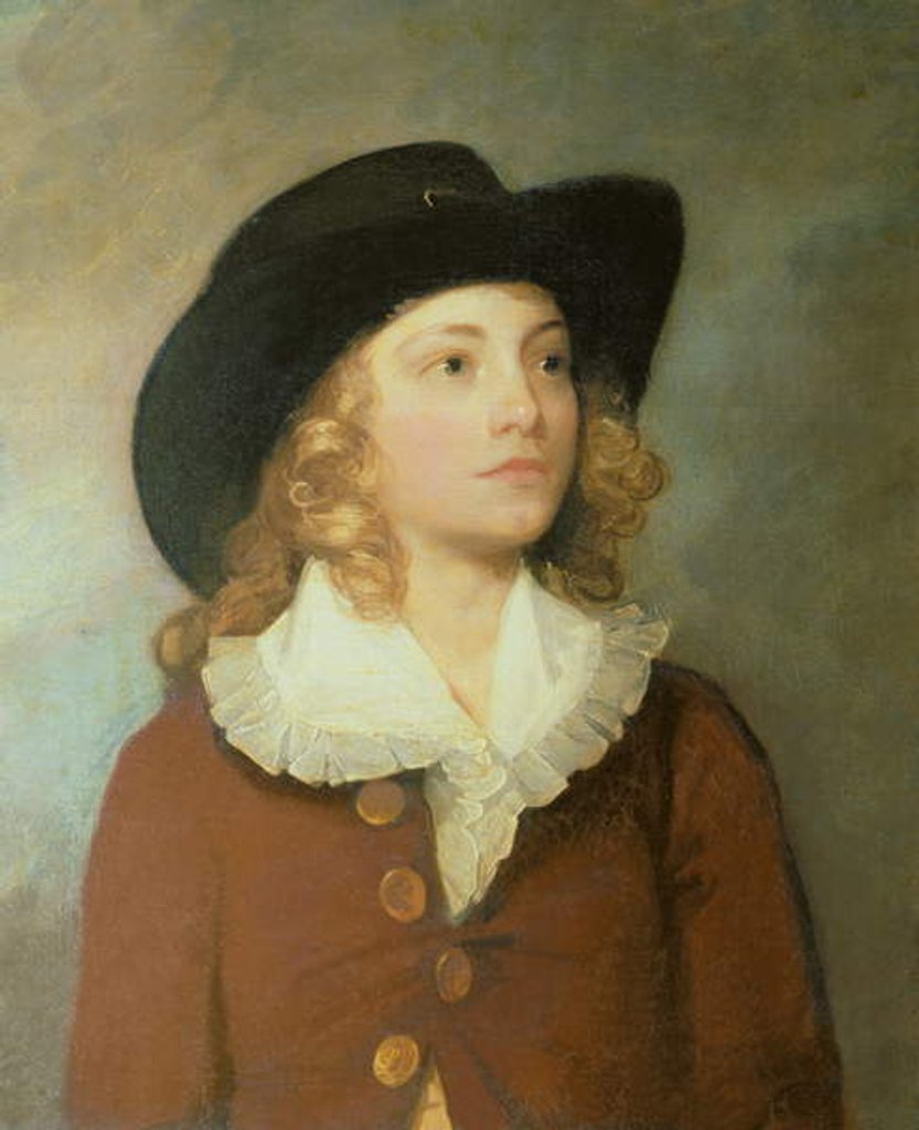 Detail of Portrait of William Ralph Cartwright, MP, aged 10 by Thomas Gainsborough