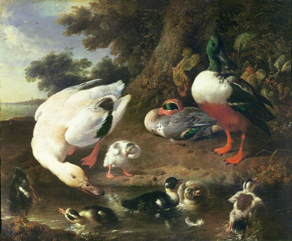 Detail of Farmyard ducks by Melchior de Hondecoeter