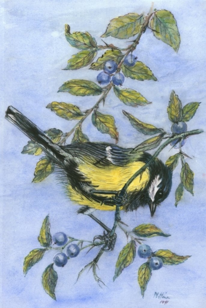 Detail of Tit in blackthorn and sloe by Nell Hill