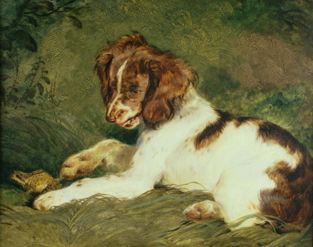 Detail of A Puppy teasing a Frog, 1824 by Edwin Landseer
