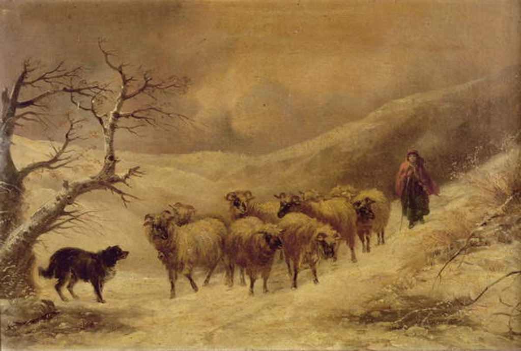Detail of Shepherdess in the Snow, 1845-1900 by John Joseph Barker