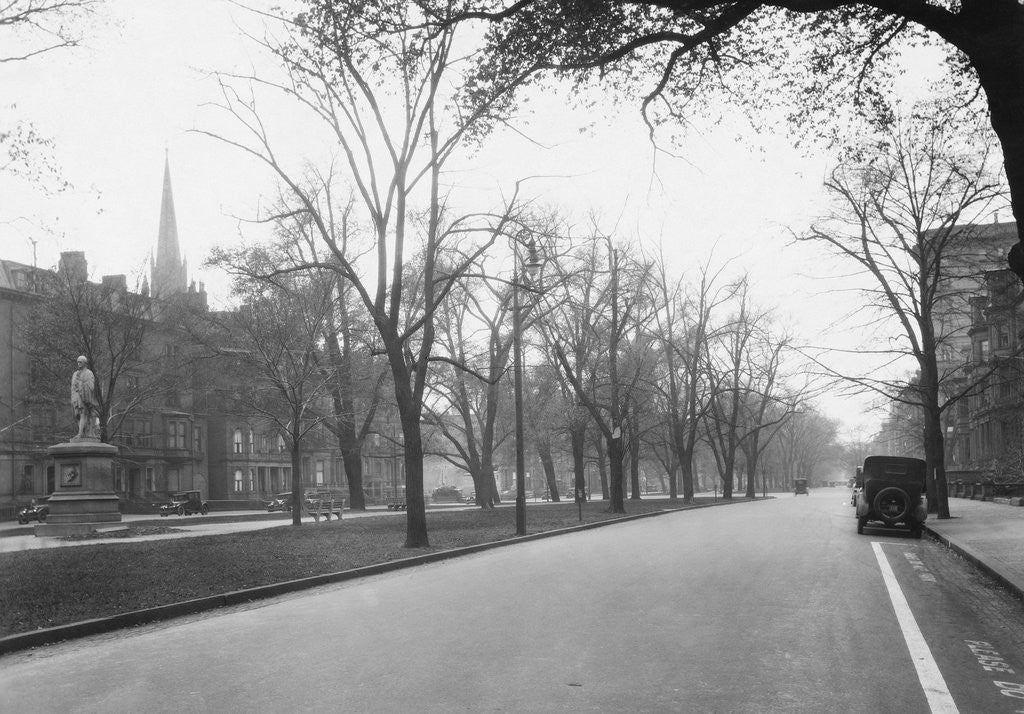 Detail of Trees Line a City Street by Anonymous