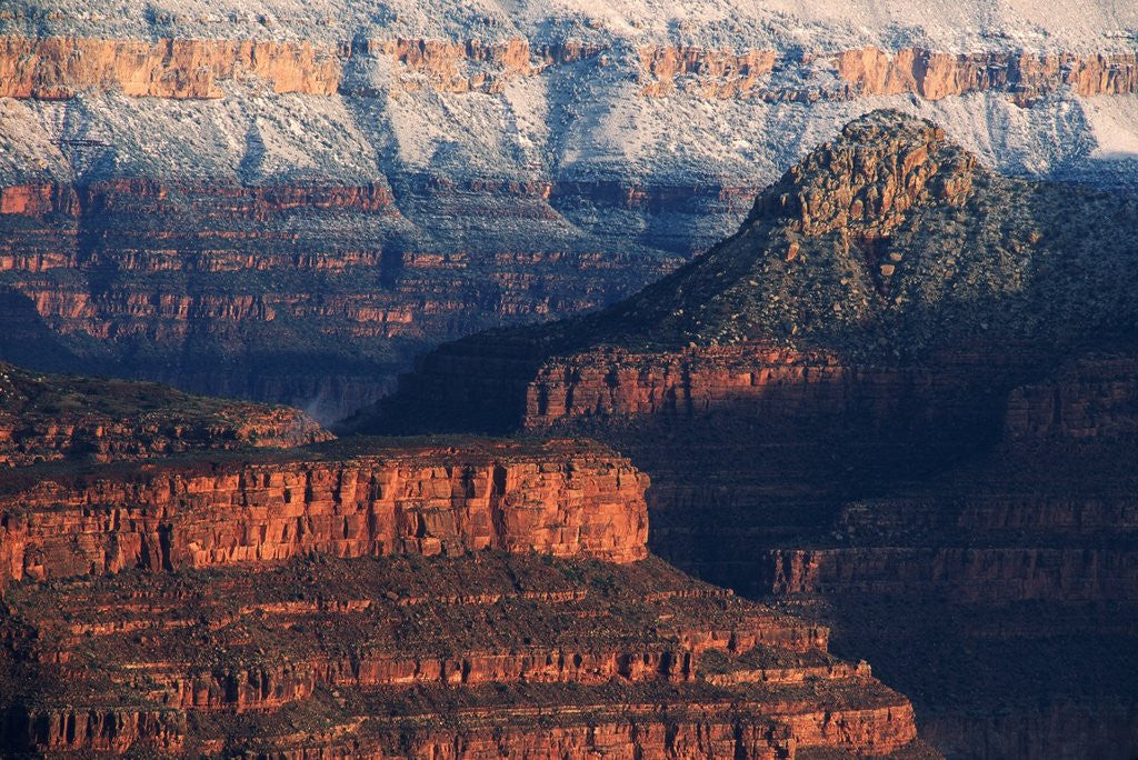 Detail of Walls of the Grand Canyon by Anonymous