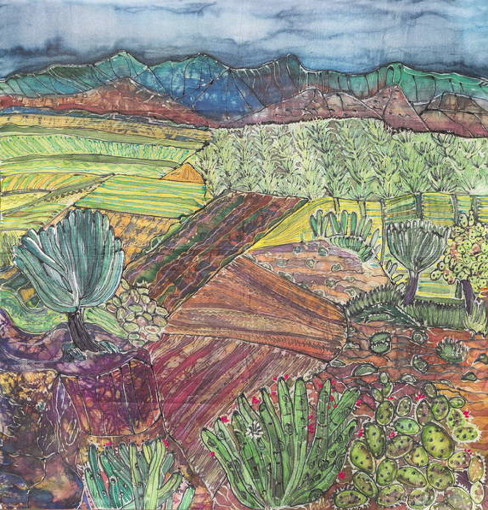 Detail of Oaxaca Landscape by Hilary Simon