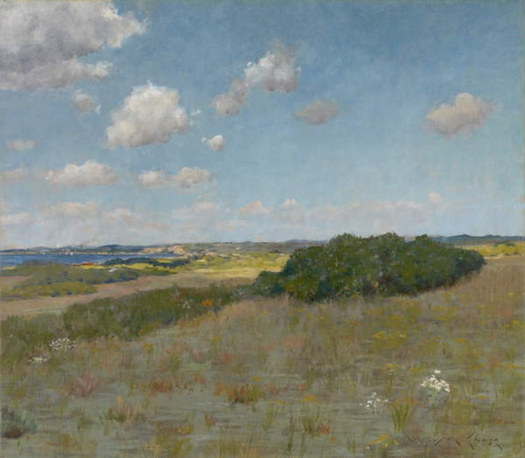 Detail of Sunlight and Shadow, Shinnecock Hills, c.1895 by William Merritt Chase