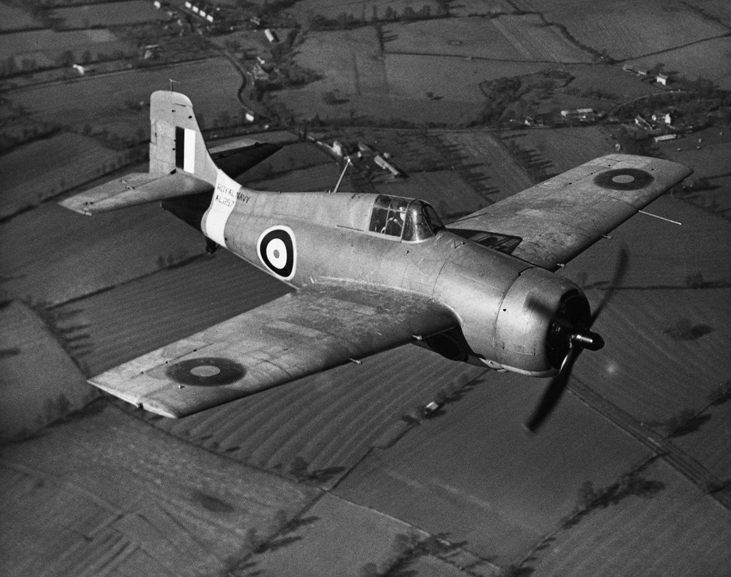 Detail of Grumman Martlet 1 by Anonymous