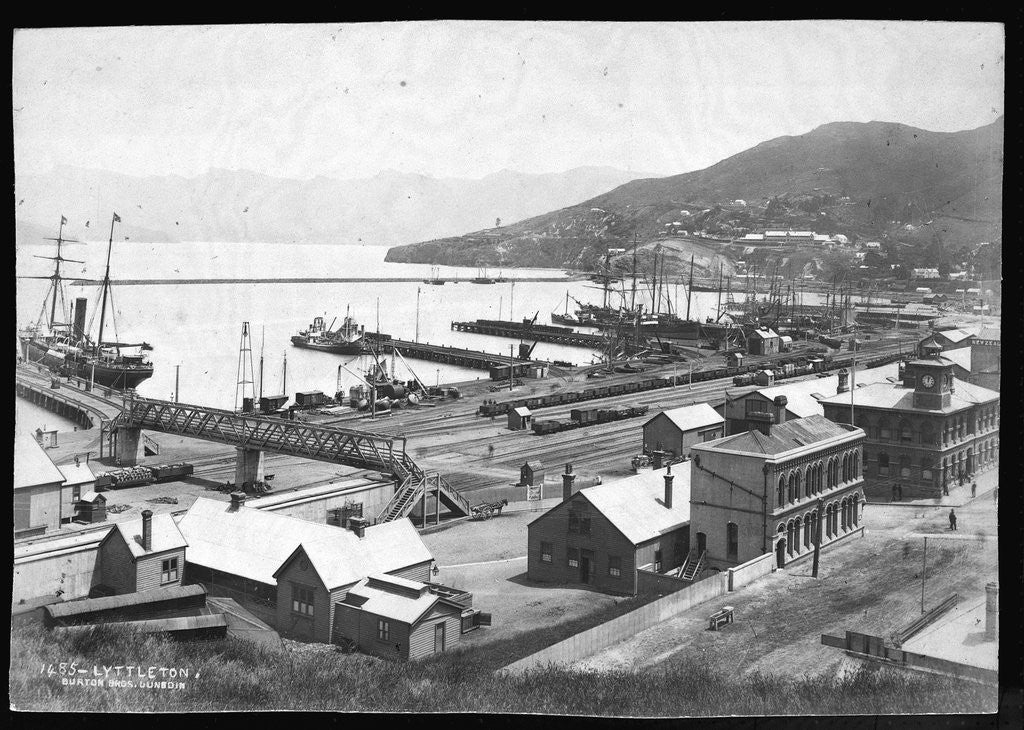 Detail of Lyttleton Harbour by Anonymous