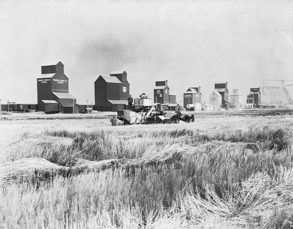 Detail of Combine Harvesters at Work in Canada by Anonymous