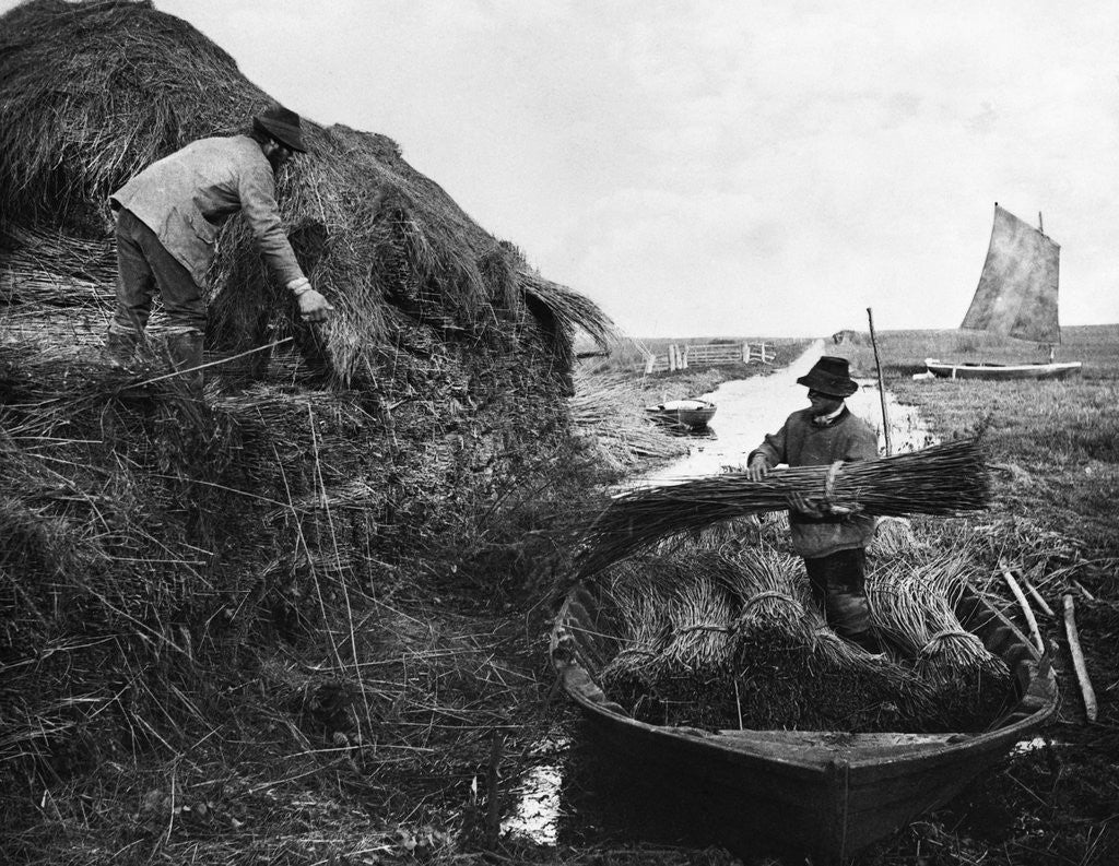 Detail of Farmers Gathering Reeds by Anonymous