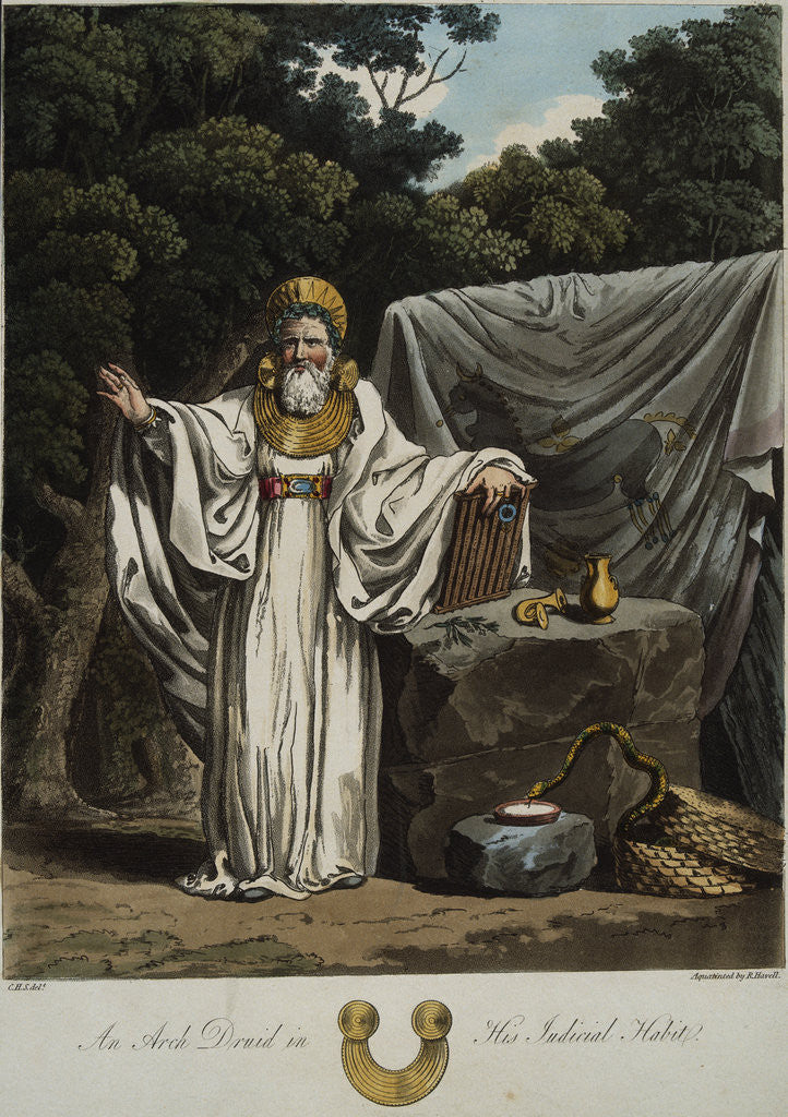 Detail of An Arch Druid in His Judicial Habit by Robert Havell