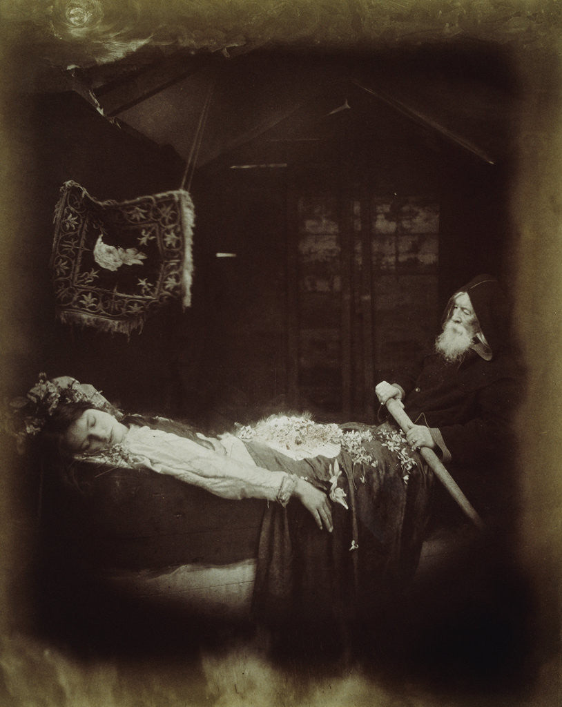 Detail of Lancelot and Elaine by Julia Margaret Cameron