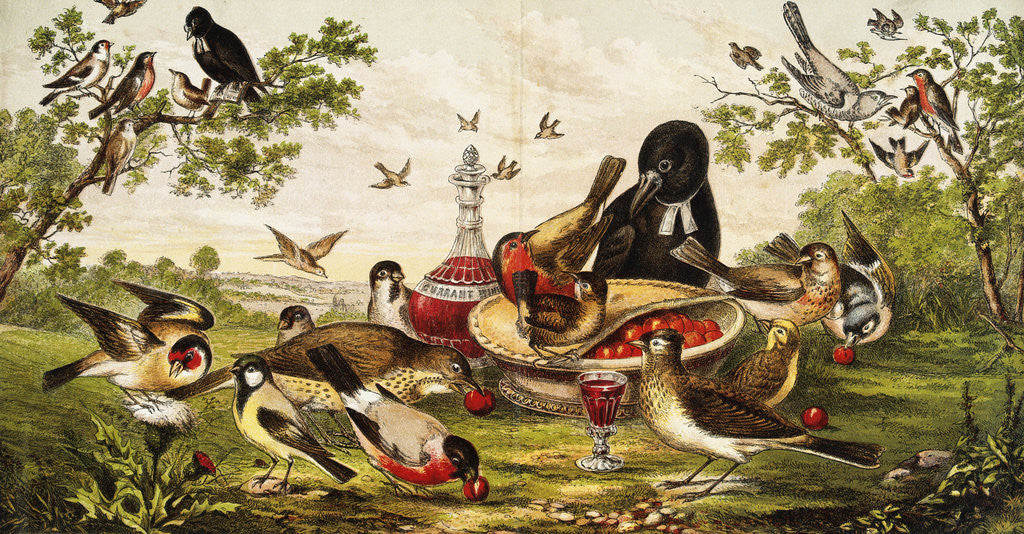 Detail of Color Print of Birds Feasting on a Fruit Pie by Anonymous