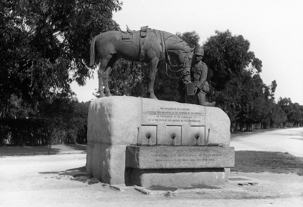 Detail of Monument to Horses That Died in the Boer War by Anonymous