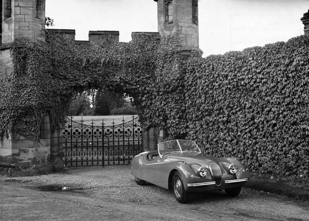 Detail of Jaguar XK120 Sports Car by Anonymous