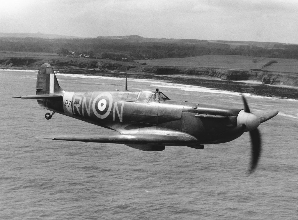 Detail of Spitfire In Flight. by Anonymous