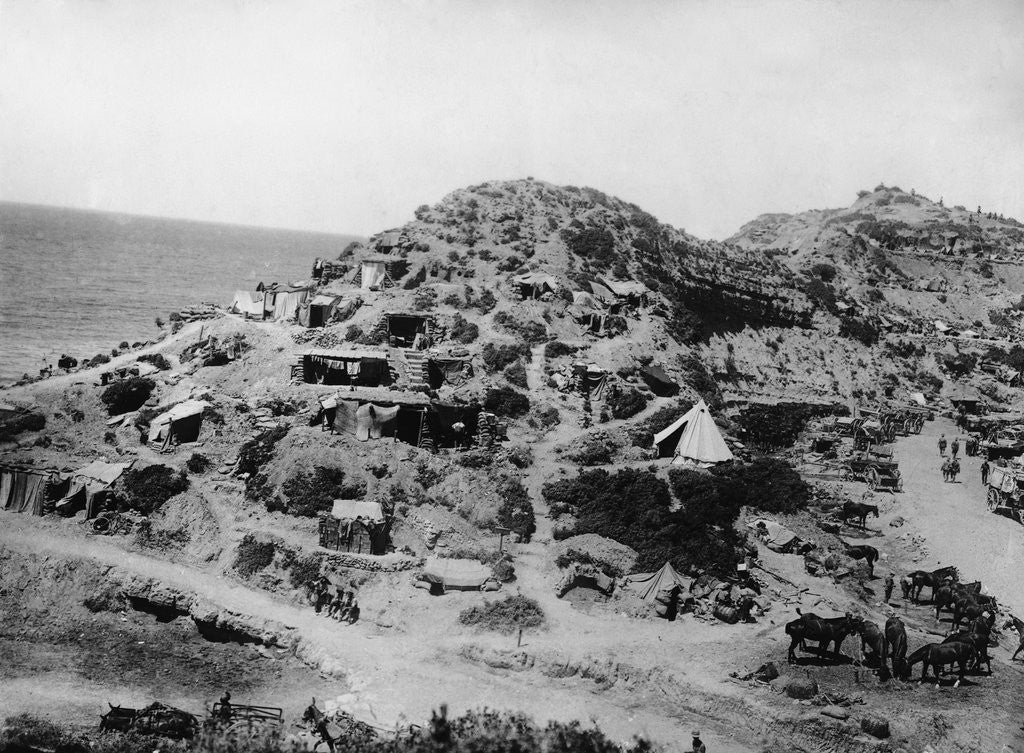 Detail of British Division at Gully Beach, Gallipoli by Anonymous