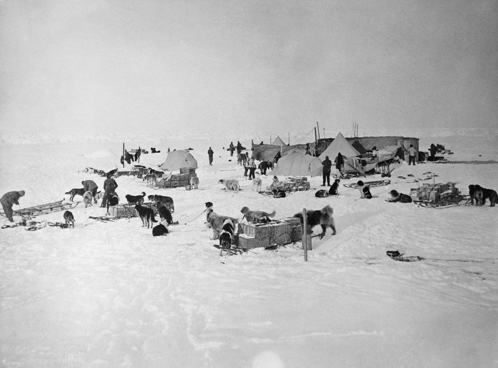 Detail of Shackleton's Base Camp on the Ross Ice Shelf. by Anonymous