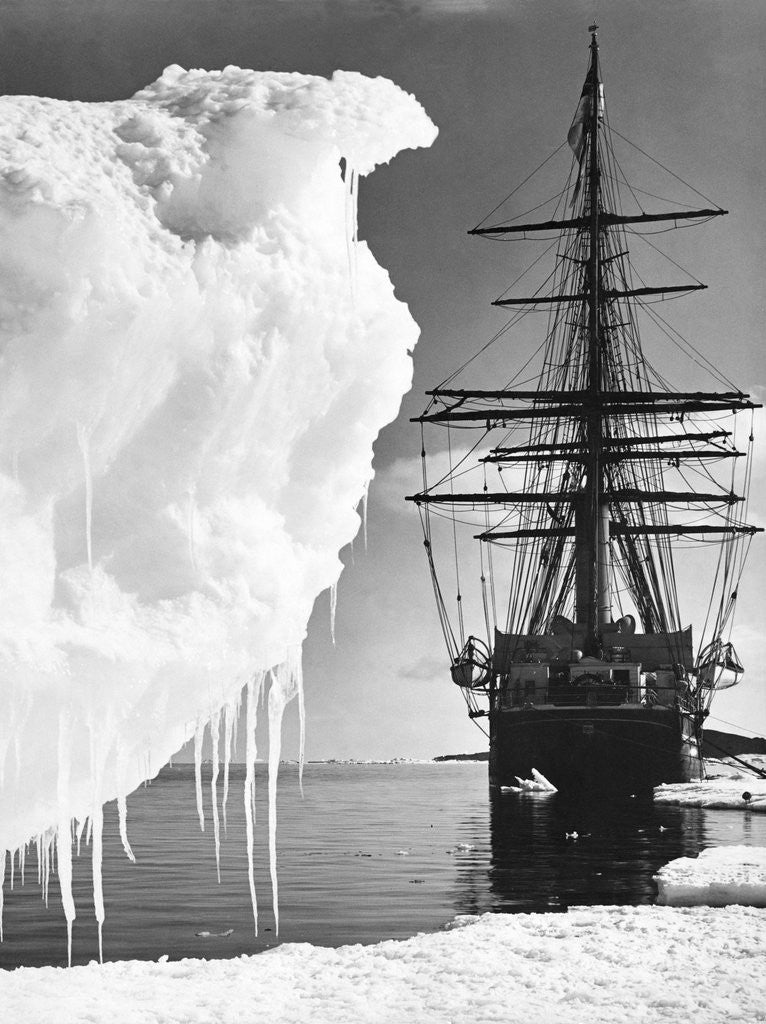 Detail of Terra Nova in Antarctica by Anonymous