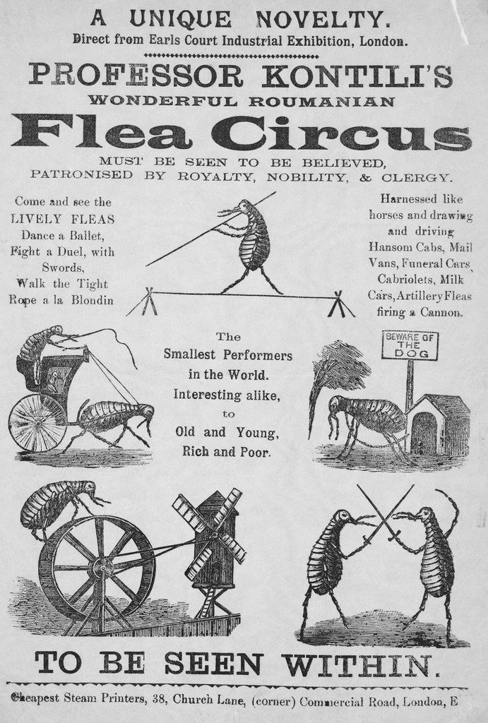 Detail of Advertisement For Flea Circus by Anonymous