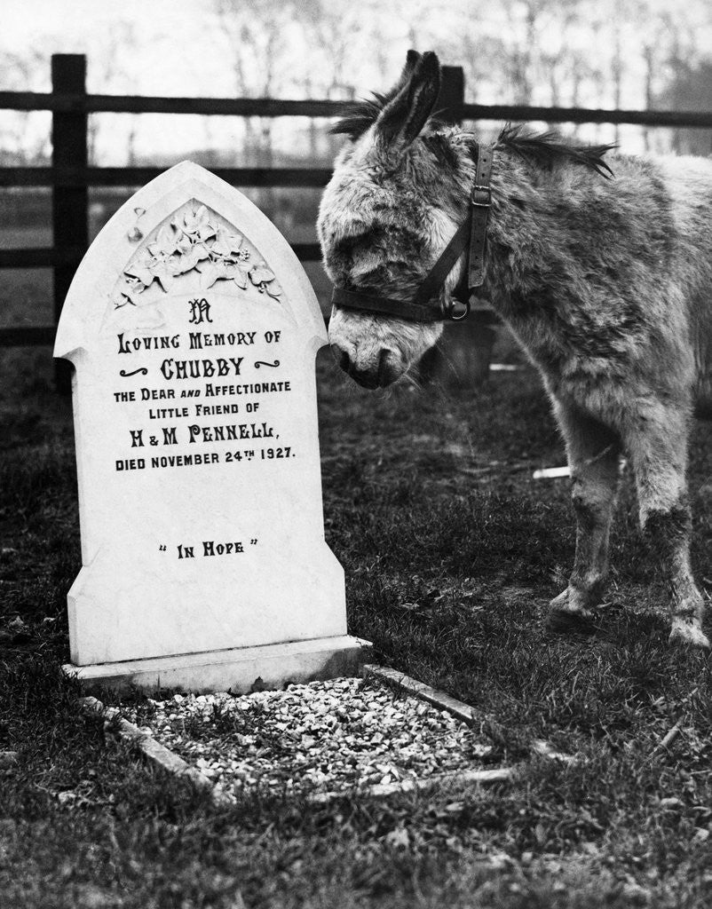 Detail of A Pet Cemetery by Anonymous