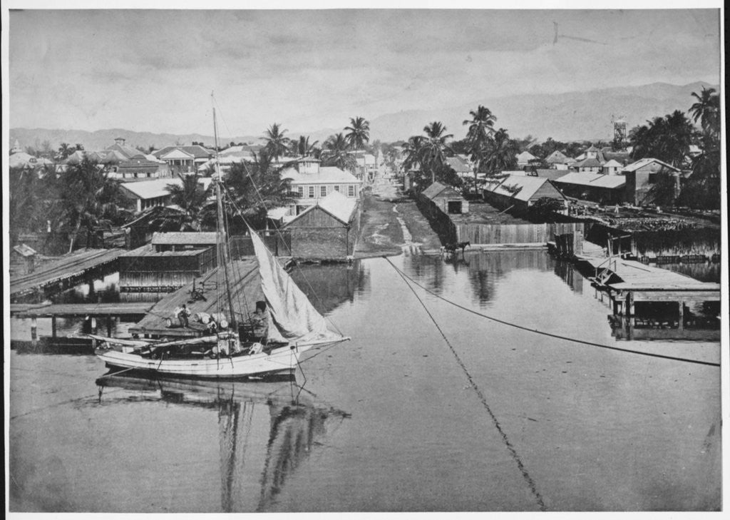 Detail of Kingston, Jamaica by Anonymous