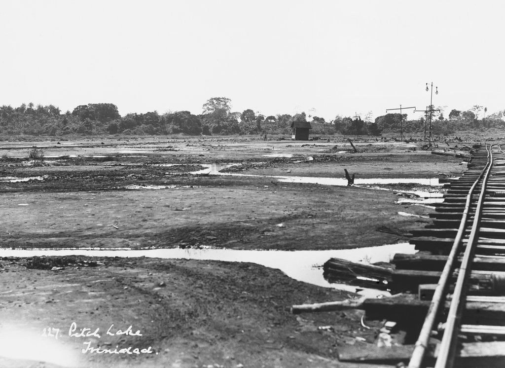 Detail of Pitch Lake, Trinidad. by Anonymous